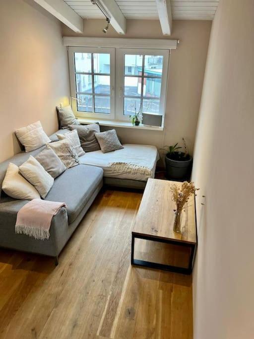 Wunderschoene Stadtwohnung Apartment Würzburg